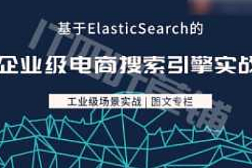 儒猿基于Elasticsearch的企业级电商搜索引擎实战|图文课