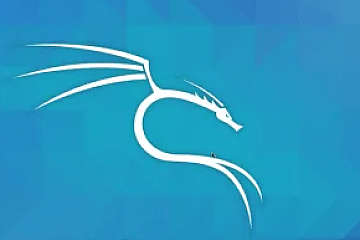 Kali零基础 Web 安全渗透工程师实战就业班