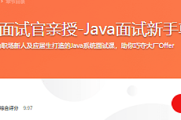 Google面试官亲授-Java面试新手尊享课