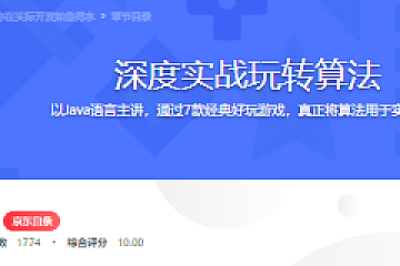 深度实战玩转算法