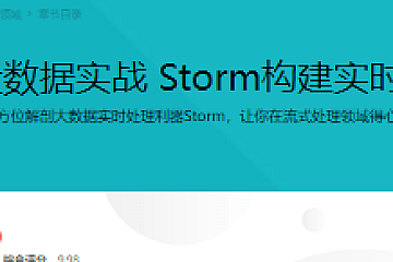 Java大数据实战 Storm构建实时流处理
