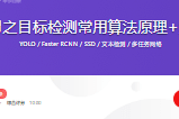 深度学习之目标检测常用算法原理+实践精讲