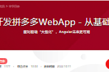 Angular 开发拼多多WebApp-从基础到项目实战