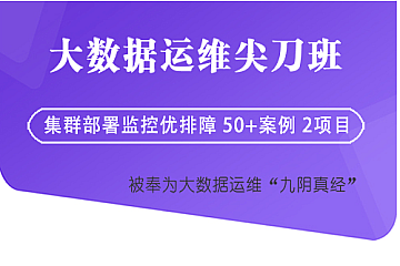尖刀大数据运维第二期