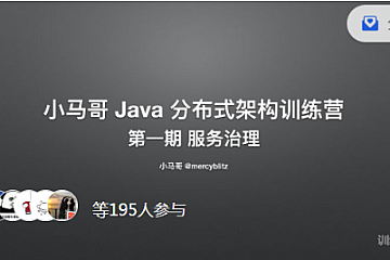 小马哥Java 训练营第一期 Java 分布式架构 – 服务治理，价值2999
