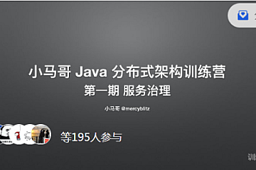 小马哥Java 训练营第一期 Java 分布式架构 – 服务治理,价值2999