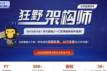 黑马Java狂野架构师3期|完整无秘