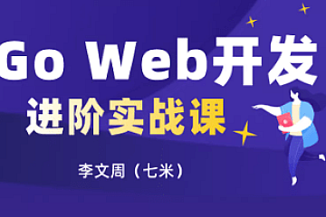 Go Web开发进阶项目实战(基于gin框架共81课时)|完结无密