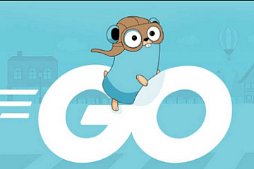 2023马哥Go语言开发 第12期