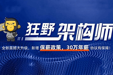 黑马狂野架构师第6期