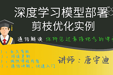 深度学习模型部署与剪枝优化实例