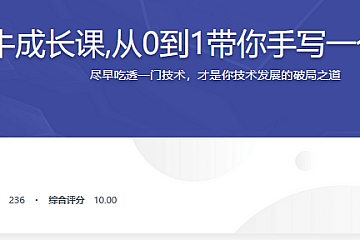 慕课技术大牛成长课,从0到1带你手写一个数据库系统