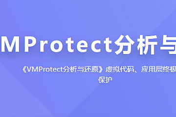 看雪VMProtect分析与还原