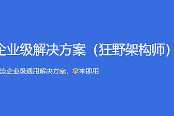 黑马-企业级解决方案(狂野架构师)
