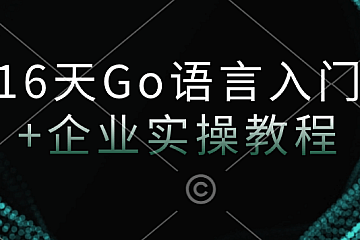 16天Go语言入门+企业实操教程