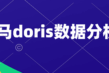 黑马doris数据分析教程