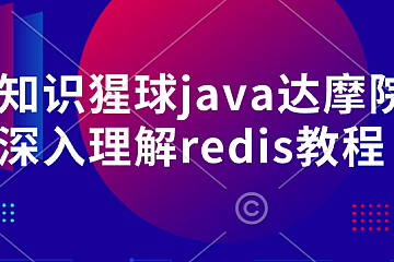 <strong>知识猩球java达摩院深入理解redis教程</strong>