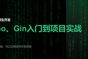 <strong>【云原生开发】Go和Gin入门到脚手架项目实战</strong>