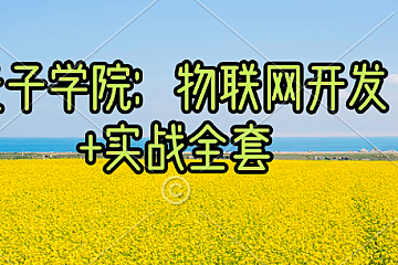 麦子学院:物联网开发+项目实战全套