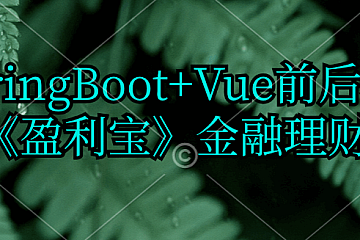 <strong>动力节点-SpringBoot+Vue前后端分离《盈利宝》金融理财项目</strong>