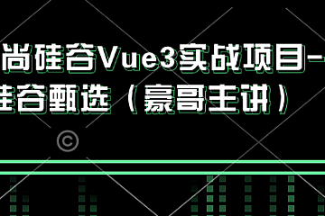 尚硅谷Vue3实战项目-硅谷甄选(豪哥主讲)带资料 完整版