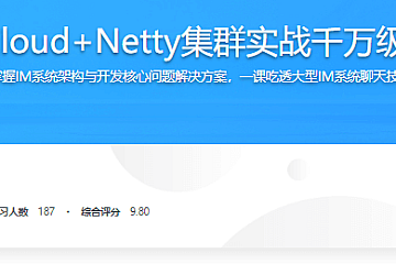 SpringCloud+Netty集群实战千万级IM系统|14章完结