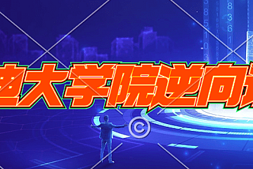 迪大学院逆向课223集