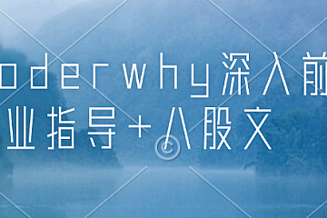coderwhy深入前端就业指导+八股文