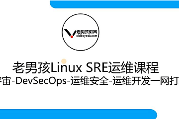 老男孩: Linux王牌自动化班89期, SRE运维视频课程