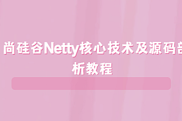 <strong>尚硅谷Netty核心技术及源码剖析教程 </strong>