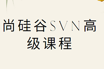 尚硅谷SVN高级课程