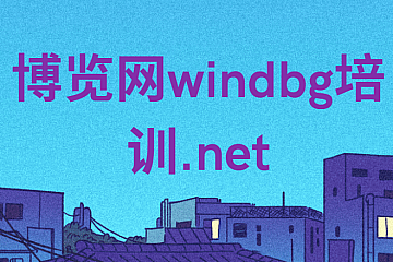博览网windbg培训.net