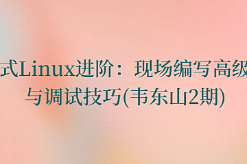 嵌入式Linux进阶:现场编写高级驱动与调试技巧(韦东山2期)