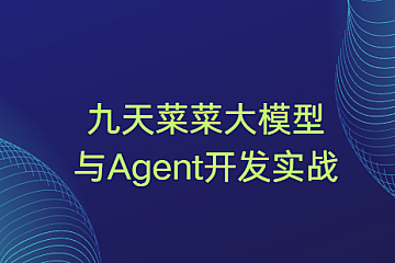 九天菜菜大模型与Agent开发实战