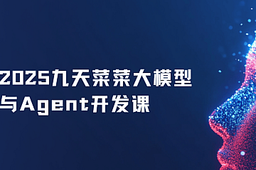 2025九天菜菜大模型与Agent开发课(新)|更新中。。。