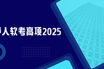 野人软考高项2025|完结