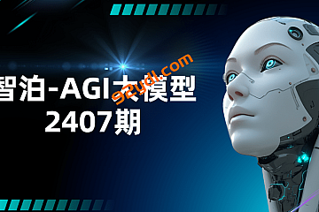 智泊-AGI大模型2407期