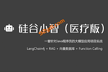 <strong>尚硅谷“小智医疗”企业级解决方案</strong>