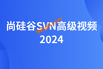 尚硅谷2024SVN高级视频