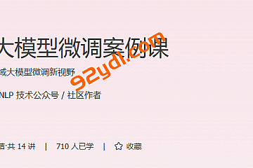 极客-领域大模型微调案例课