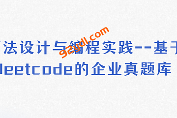 算法设计与编程实践—基于leetcode的企业真题库