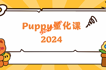 2024Puppy量化