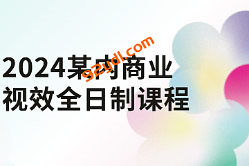 2024某内商业视效全日制课程