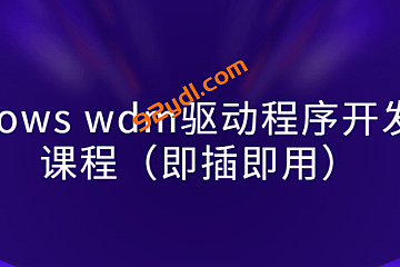 windows wdm驱动程序开发视频课程(即插即用)