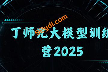 丁师兄大模型训练营2025