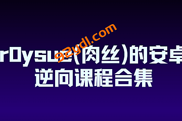 <strong>r0ysue(肉丝)的安卓逆向课程合集</strong>