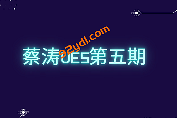 蔡涛UE5第五期