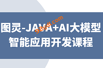 <strong>图灵-JAVA+AI大模型智能应用开发课程</strong>